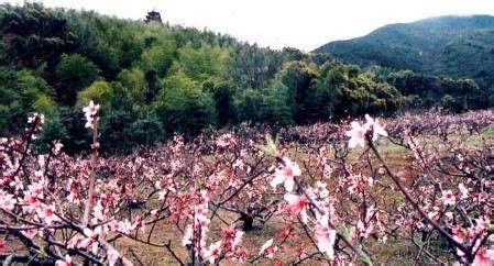 舟山旅游攻略自驾游
