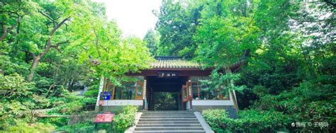 杭州旅游最佳时间月份