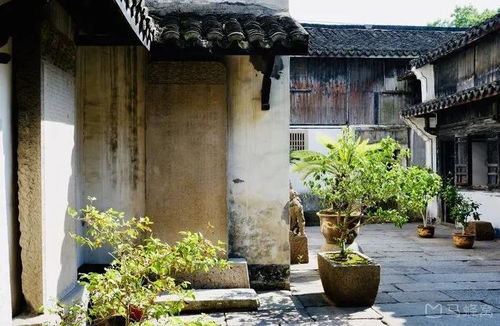 安昌古镇旅游攻略