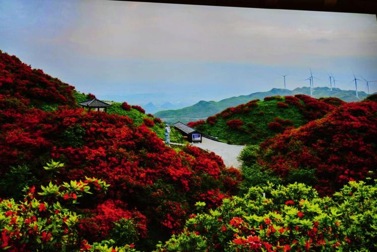 遵义周边旅游景点攻略