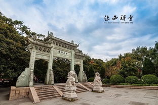 厦门到普陀山飞机时间表