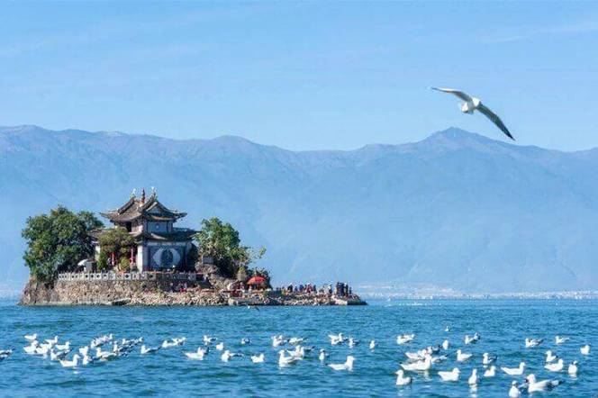 去香格里拉旅游攻略