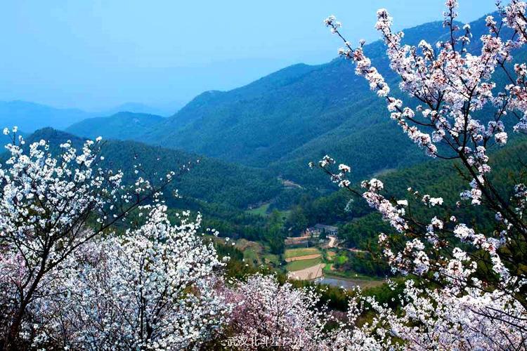 湖北三月份适合去哪里旅游