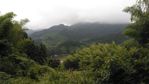 灵秀山旅游拍照图片