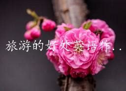 关于去旅游的英语作文初一