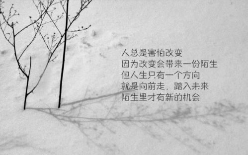 那些记忆深处的秘密往事