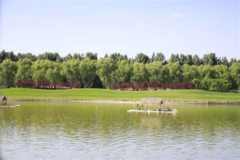 探索北京旅游：大兴区