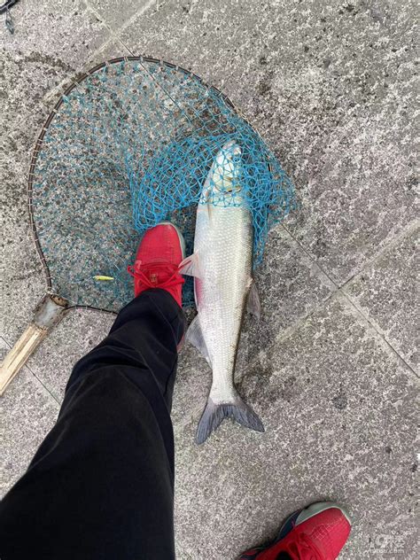 富阳东洲五丰岛垂钓中心电话