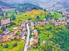 文旅融合助力乡村振兴秦岭四宝走进西安社区