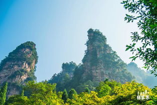 陕西七旬女游客圆梦张家界纯朴换真情，美景传佳话