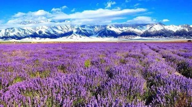 《国家地理》评选中国一生必去的50个地方——自然风光|风景|大峡谷|