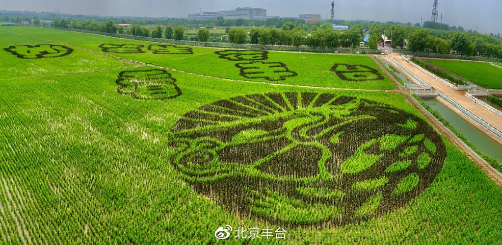 快来丰台网红新地标打卡!超出片|小编|王佐镇