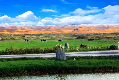 宁夏首趟环西部火车游东北旅游专列顺利开行