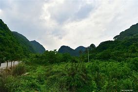 仫佬山乡初夏田园诗画中的宁静与生机
