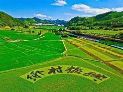振兴乡村，共绘旅游新篇章全省乡村旅游发展现场会暨年旅游强省建设第三次调度会综述