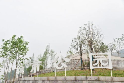 何以中国｜运河文旅受青睐，多样休闲娱乐融入市民生活