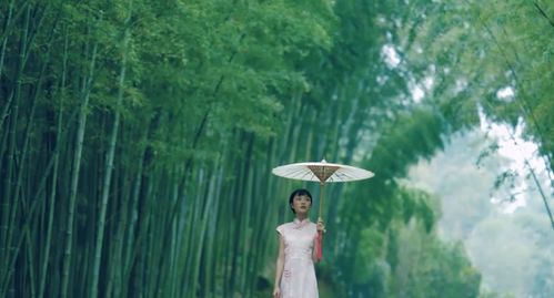 崆峒浅夏，开槐畅游——传统与现代的和谐共融