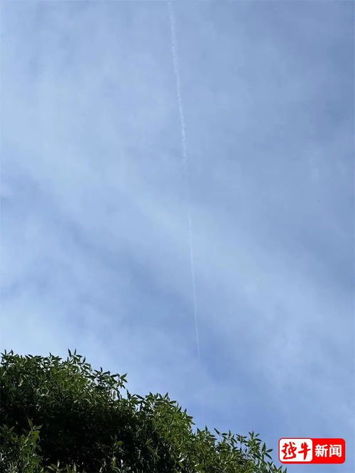 浙江文旅新现象系列观察④：景区自由如何更丝滑