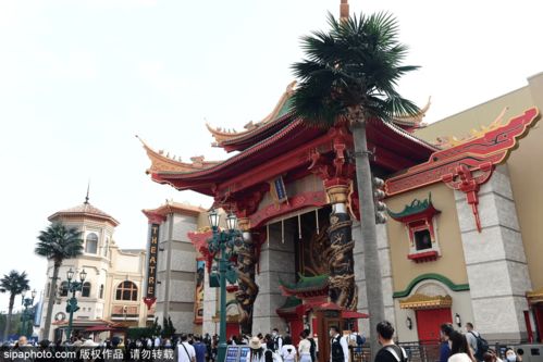 实习生职场生存指南从北京环球影城看团队合作与职业素养