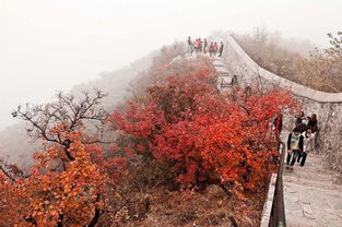 北京著名旅游景点排名