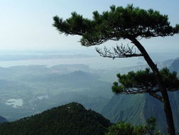庐山一日游自驾游最佳路线