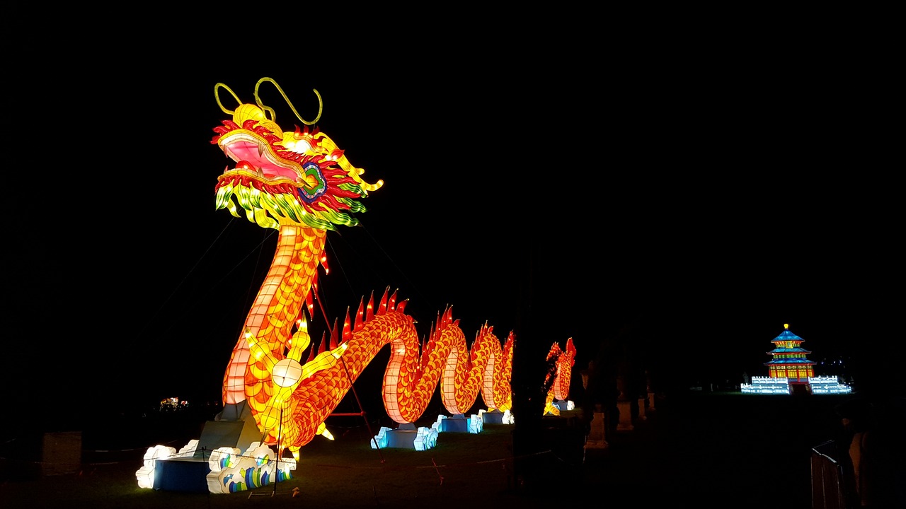龙行天下代表是指什么生肖，精选解答落实