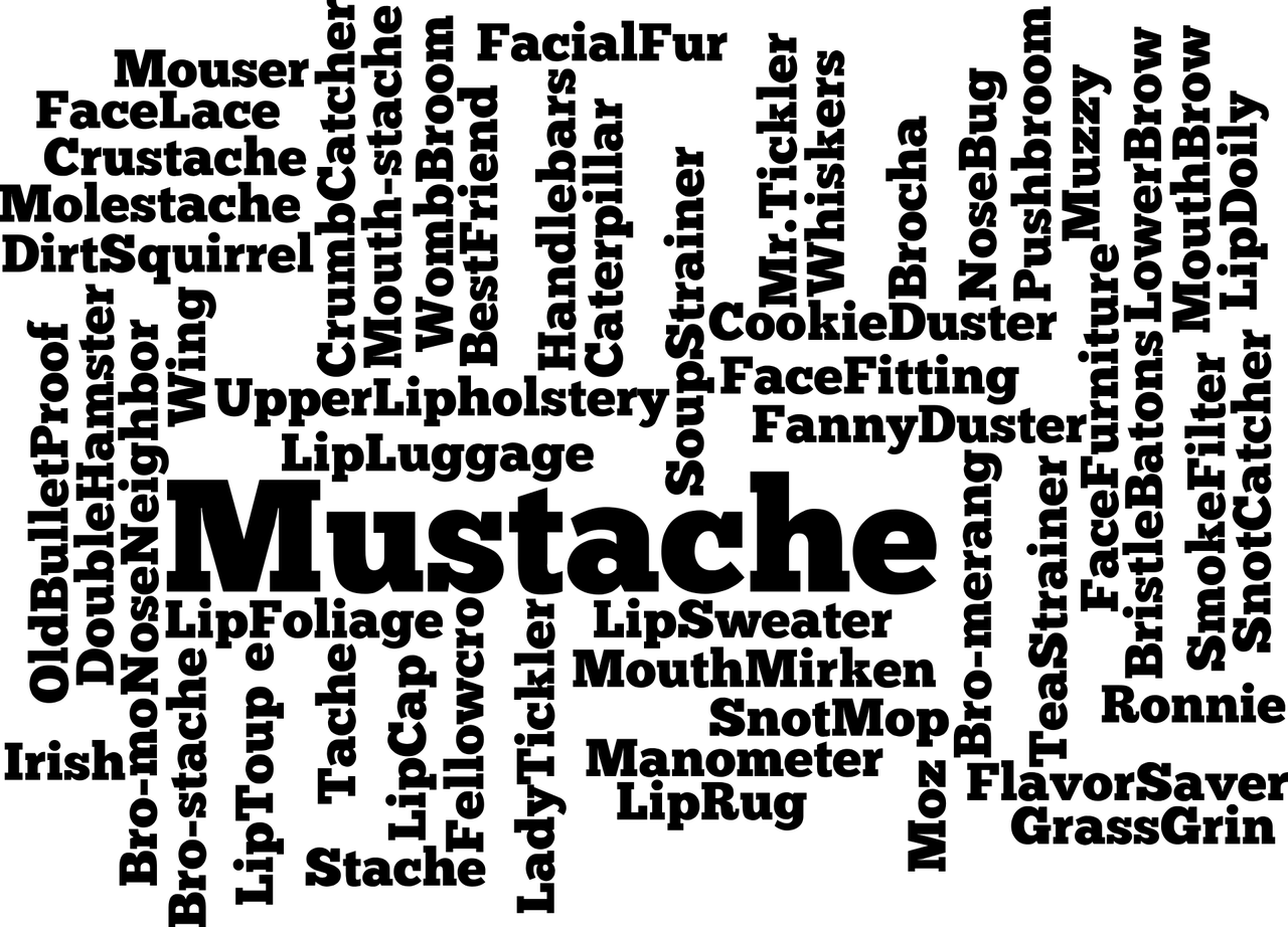 枝附影从代表是指什么生肖，精选词语落实