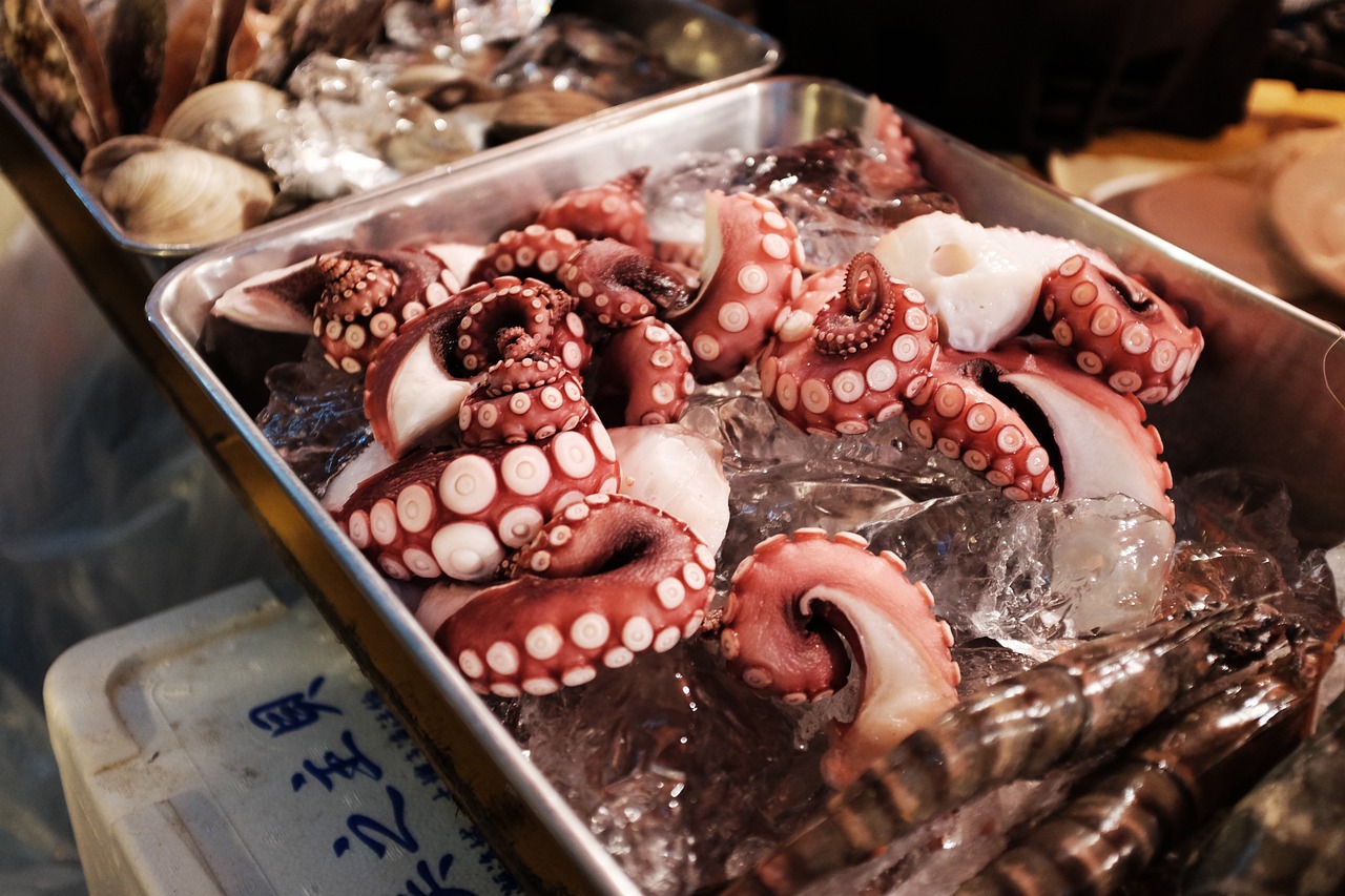 探店实录新宝城海鲜坊，舌尖上的海之韵