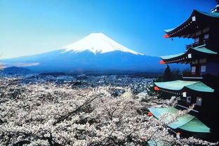 日本旅行团价格