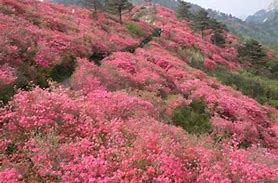 峨眉山适合几月份去