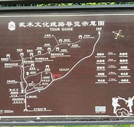 成都到乐山大佛一日游攻略