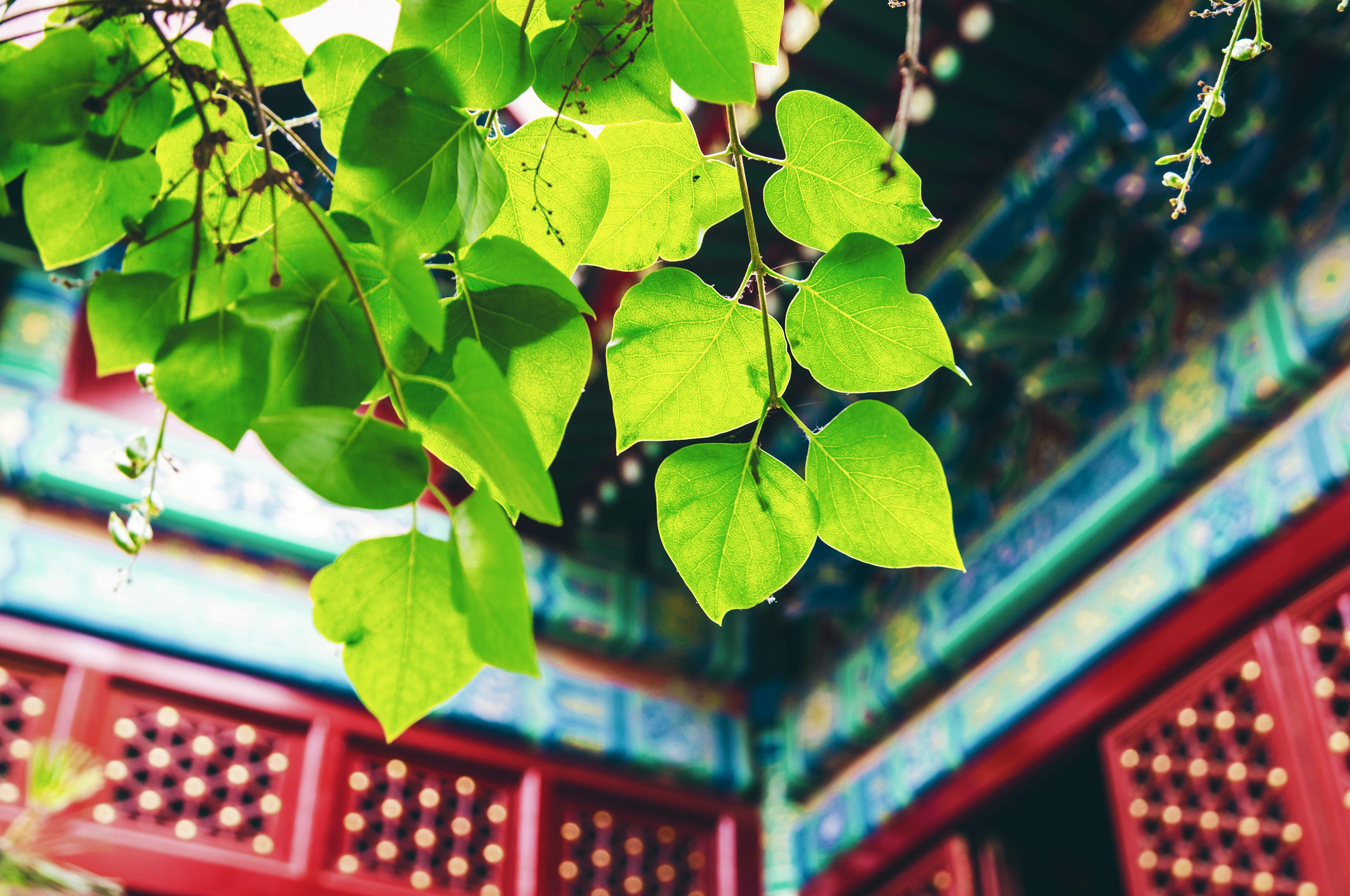 探寻北京旅游的奥秘——2024年北京十大旅行社推荐