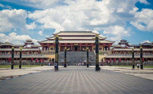一、专业导游提升旅行体验