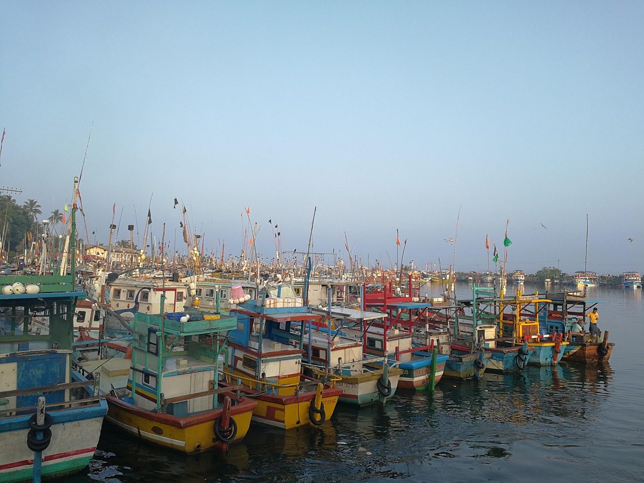 探索中华之星邮轮，海上豪华之旅的完美诠释