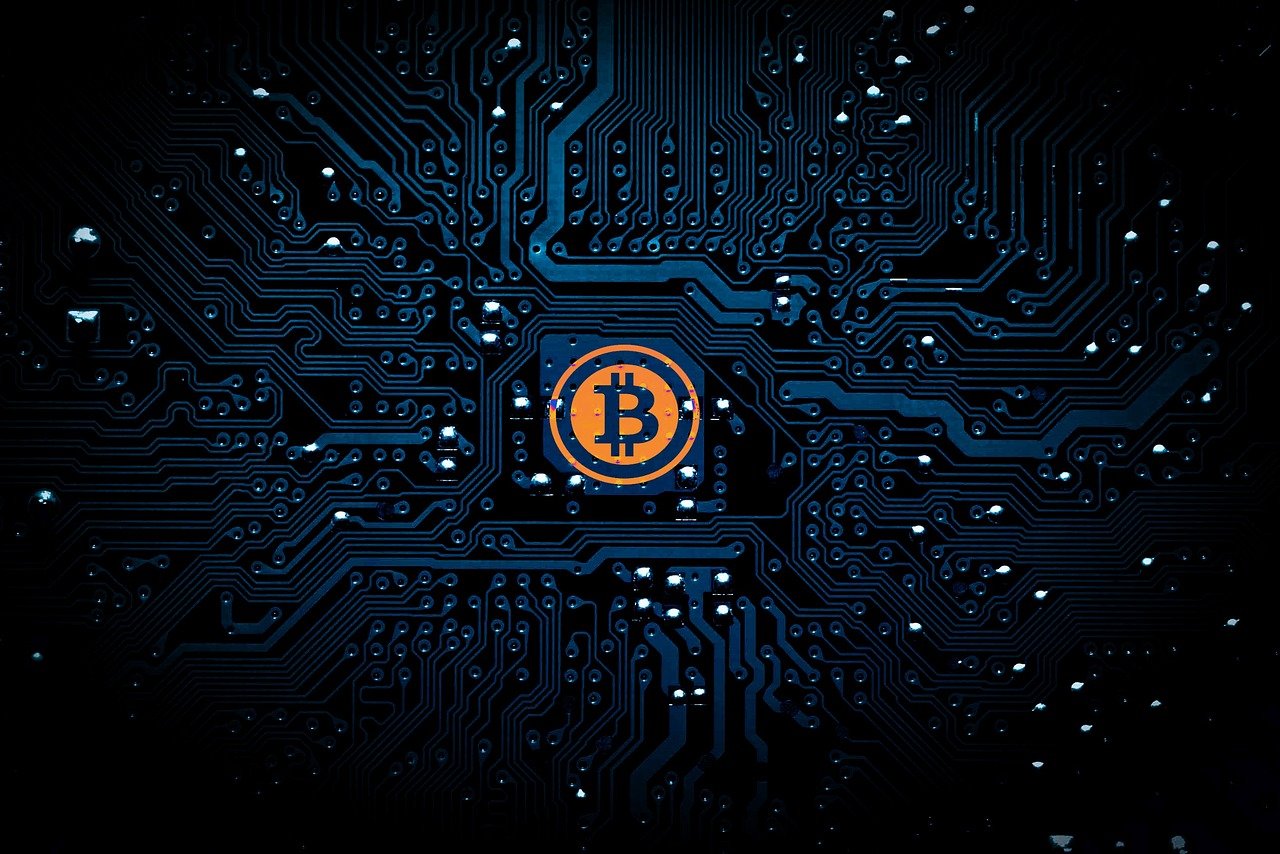 白鹿转型之路，挑战与反思