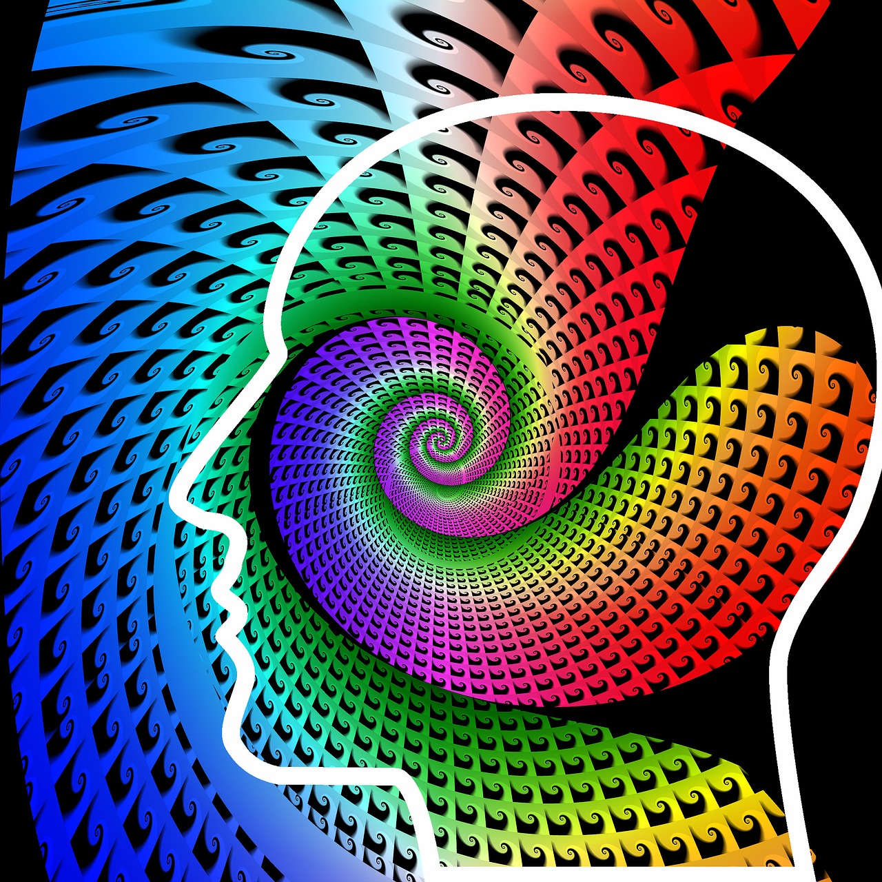 探索体验的多彩形容词，如何用语言描绘感受