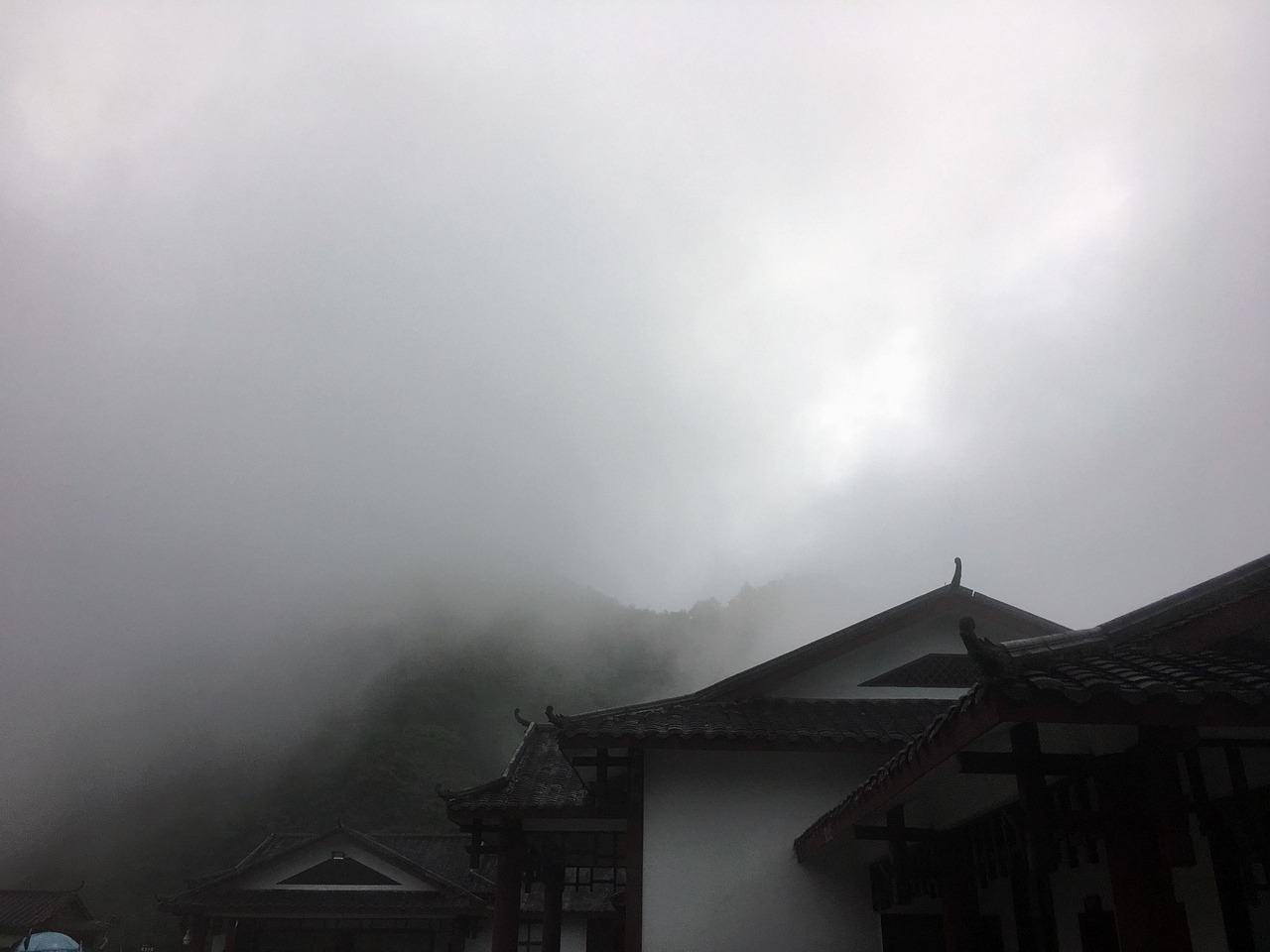 张家界景区免门票政策，旅游复苏的春风，还是经济刺激的良方？