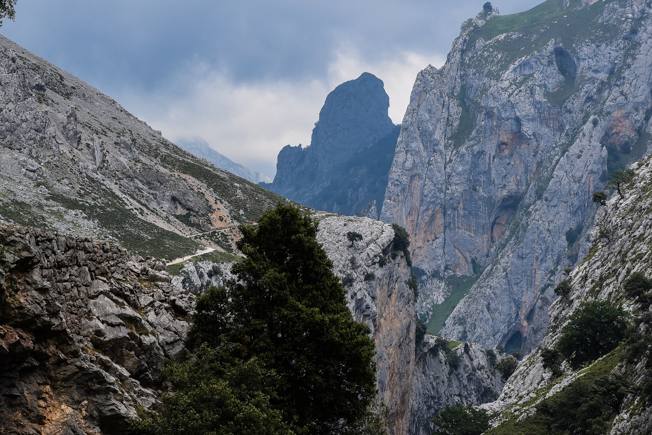 广西旅游攻略，探索壮美山水的完美路线