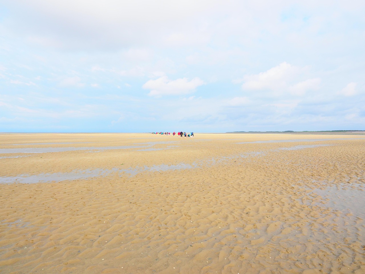东营旅游景点，探索黄河入海口的自然与文化之美