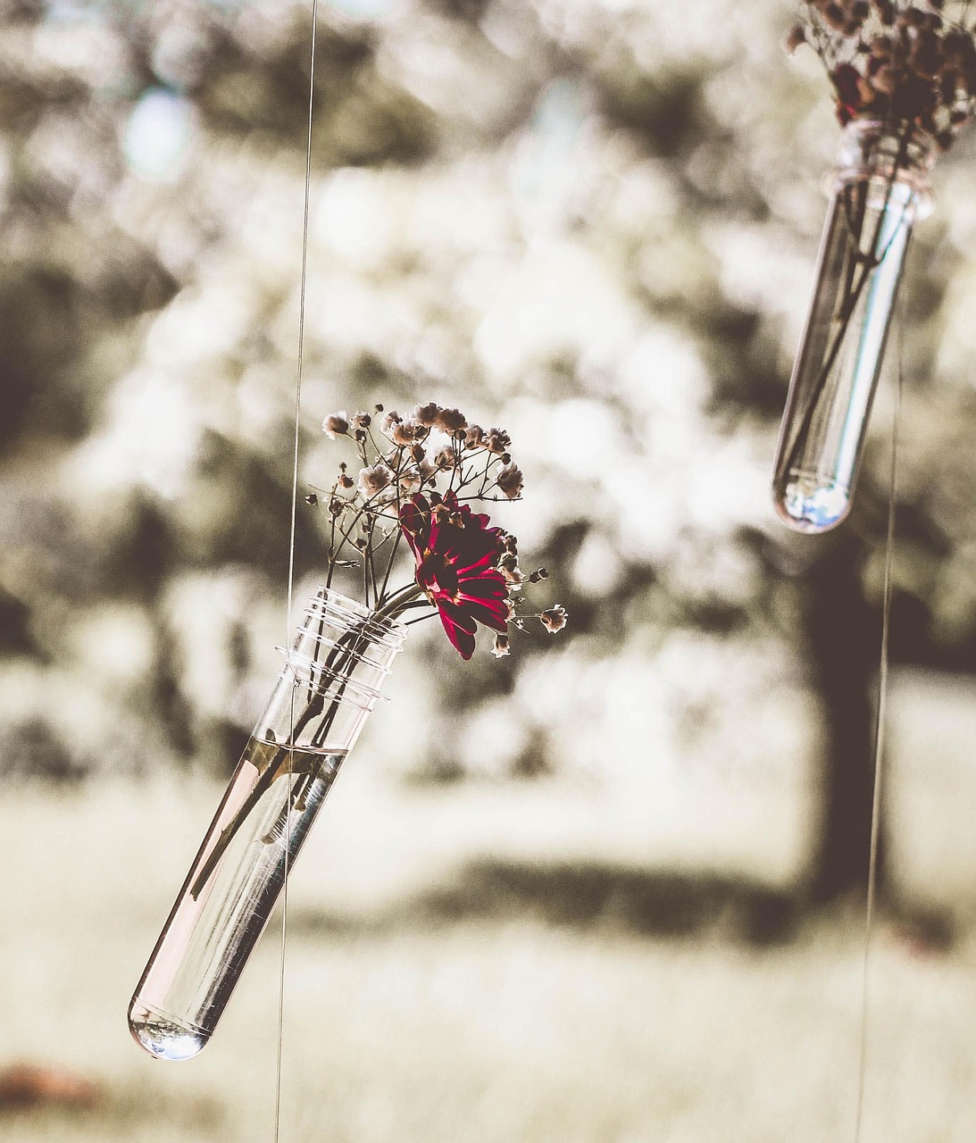 Exploring the Essence of Specialty in English:A Deep Dive into the Language of Uniqueness