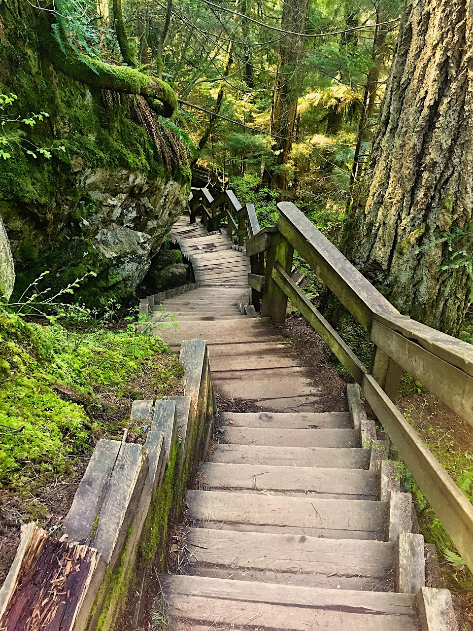 探索佛山，一日游免费景点全攻略