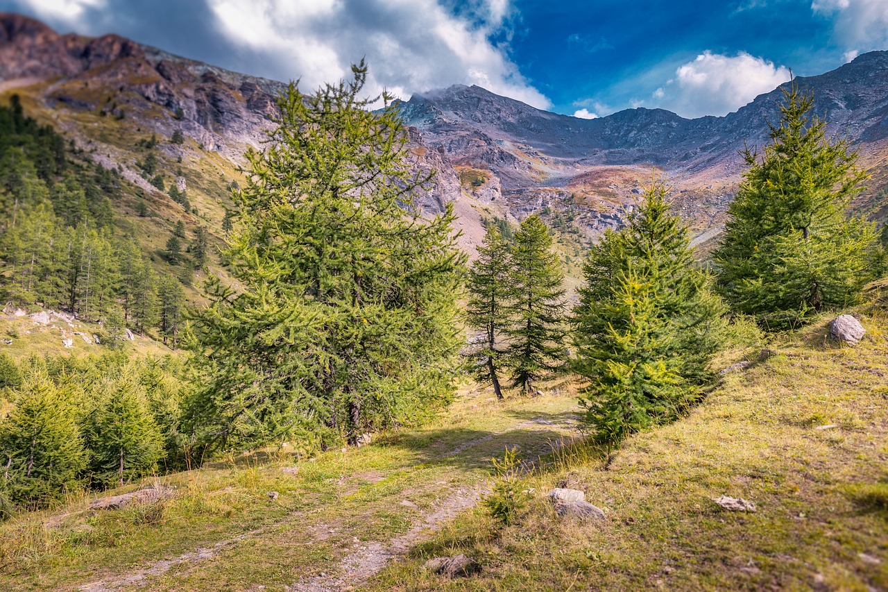 探索攀枝花，不可错过的旅游景点排行榜